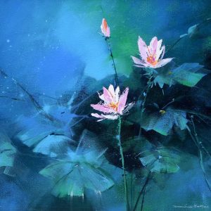 夜菏