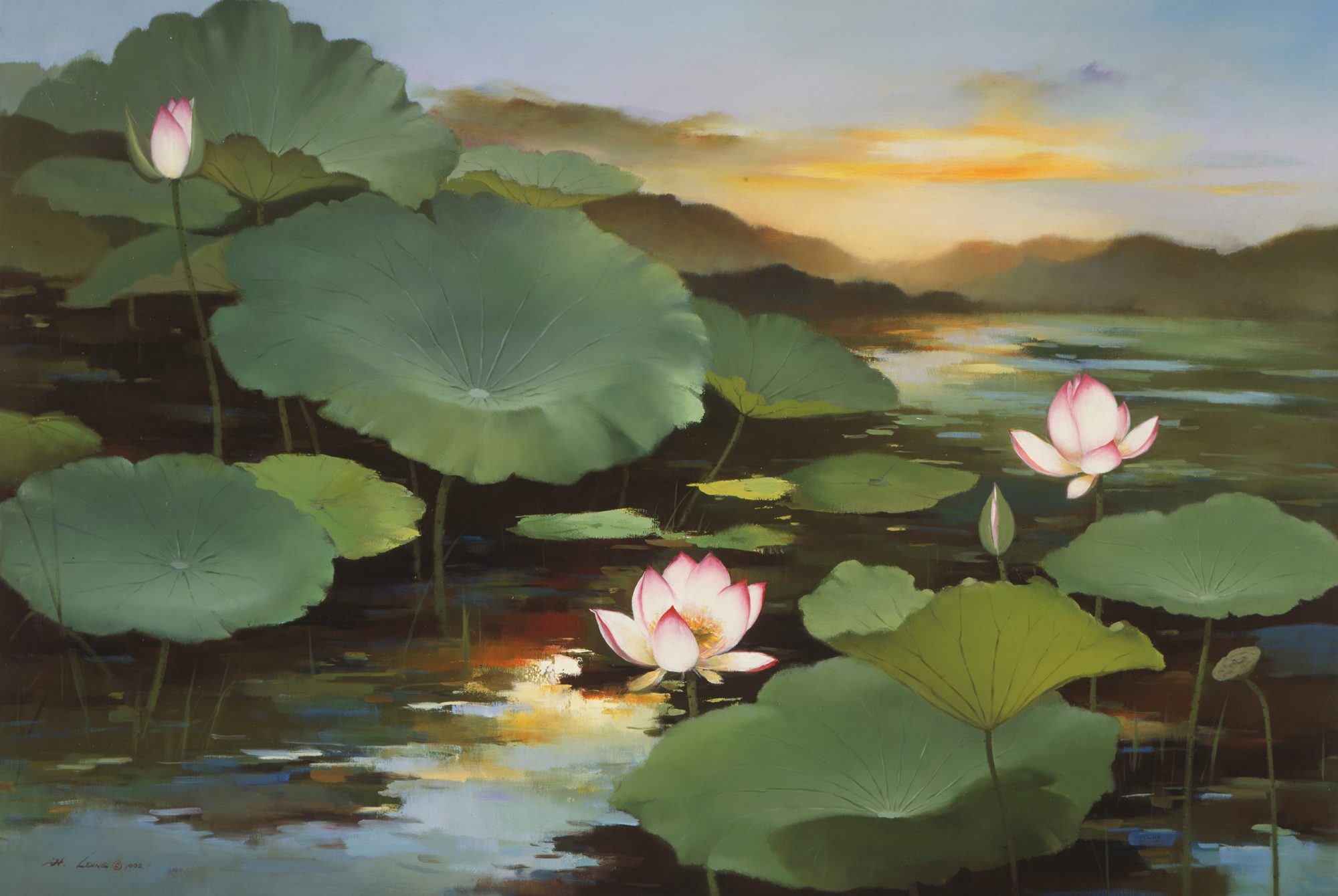 Water Lilies