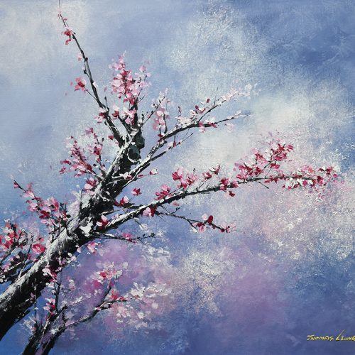 樱花季节