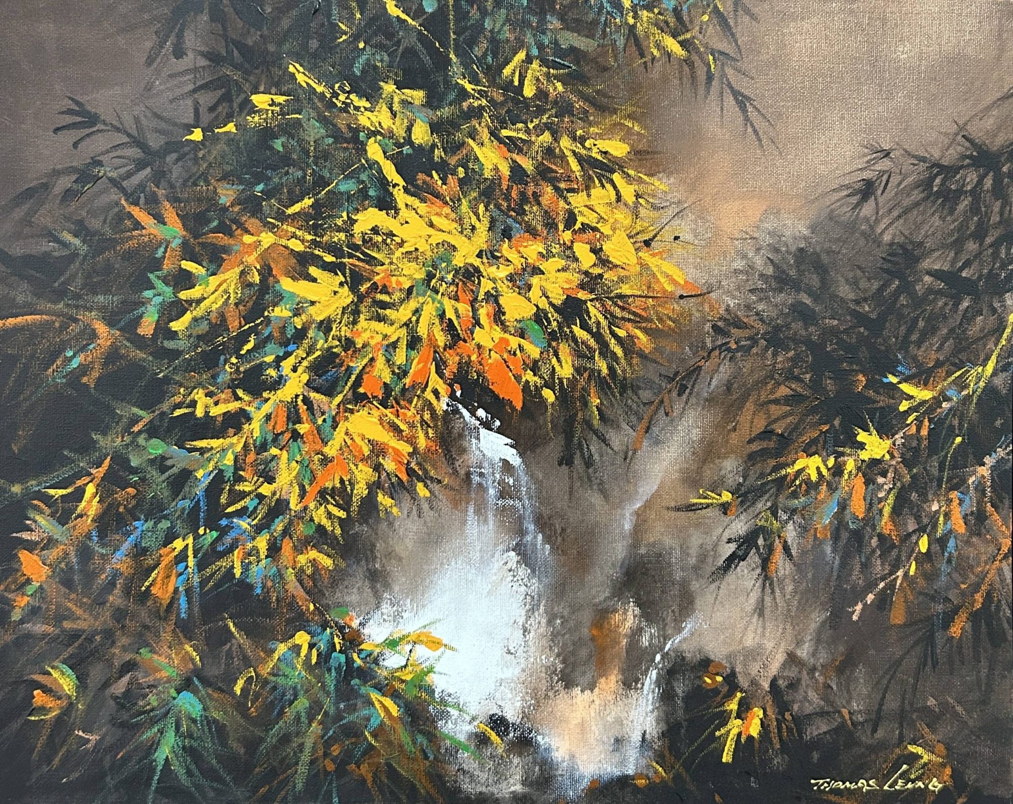 夏天小溪