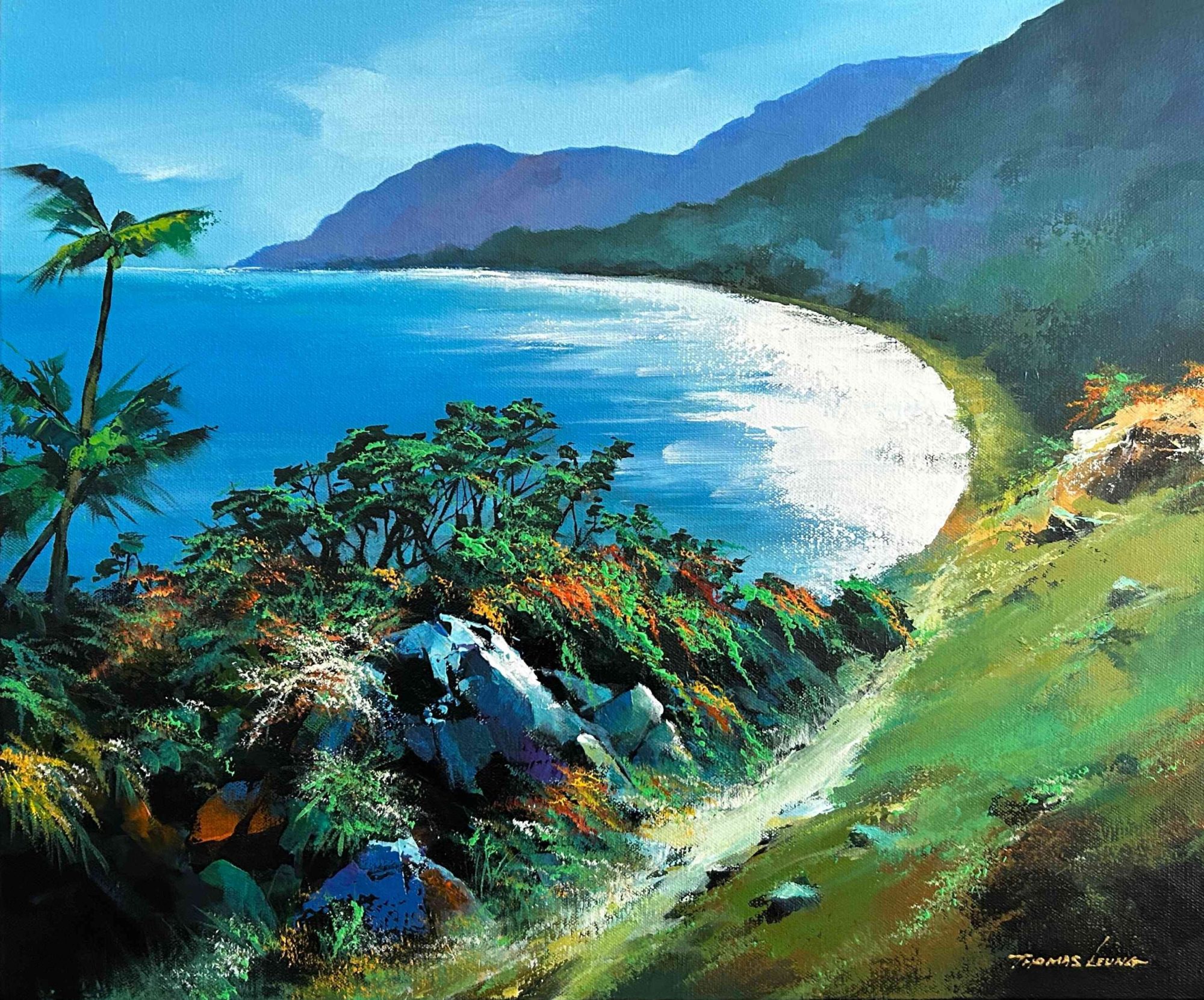 Tropical Coast