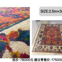 Art Carpet No.12